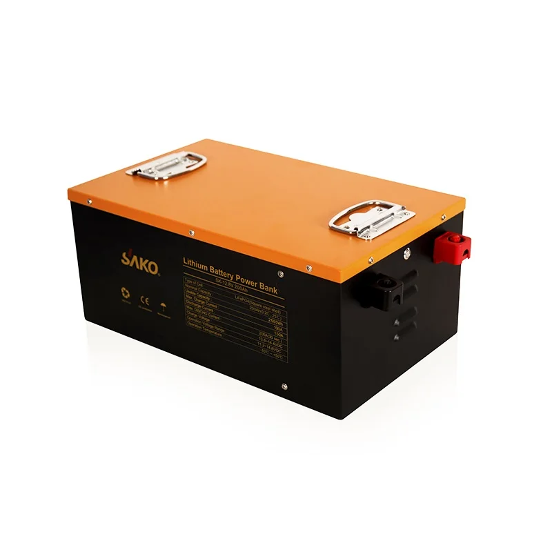 SAKO Hot Sales 12V Battery Pack 100Ah 150Ah 200AH BMS Control Rechargeable Deep Cycle for Home Energy Storage