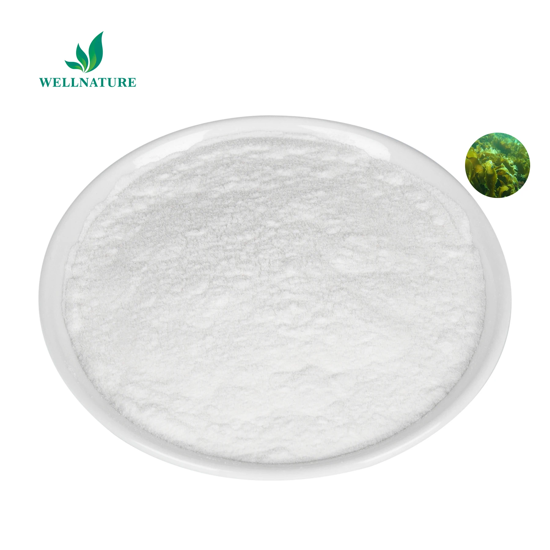 Fucoidan Polysaccharide Fucoidan Extract Powder Fucoidan