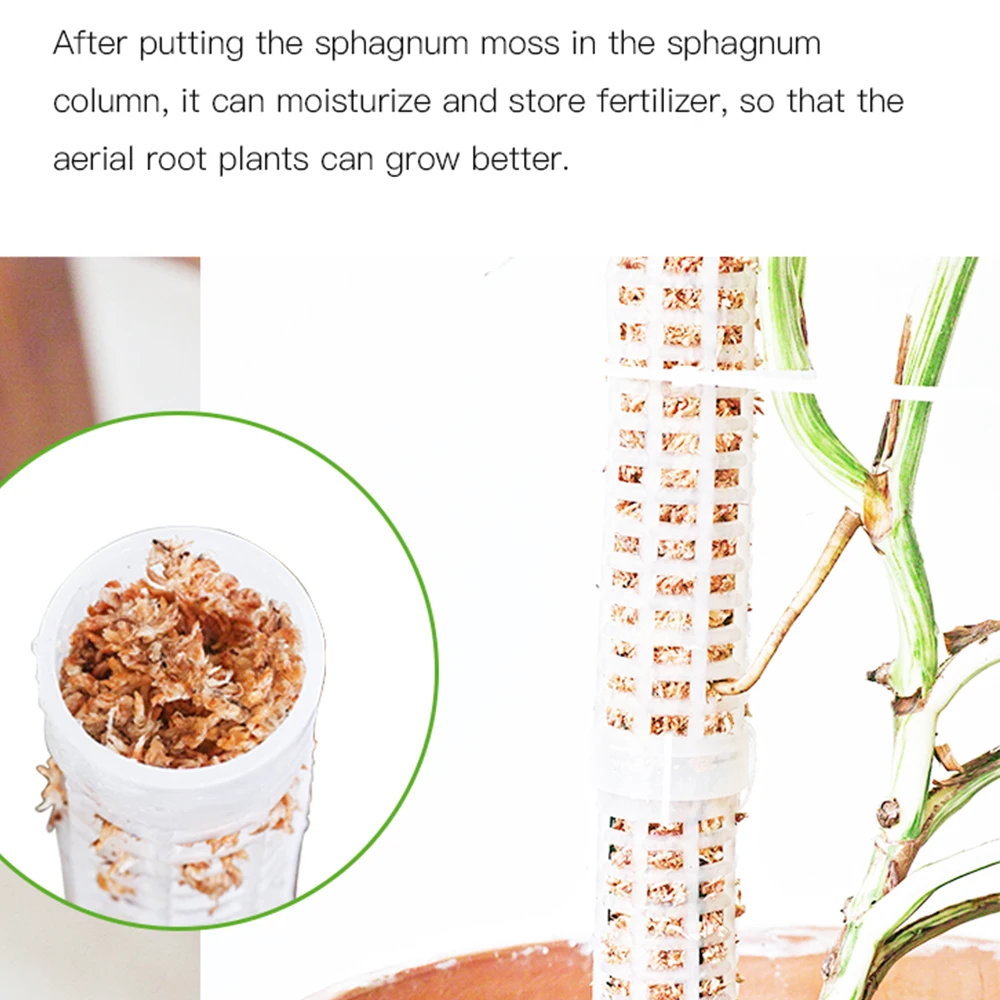 40*285mm 2021 High Quality Jiangyin Jiuhong Plant support Moss columns sphagnum climbing column
