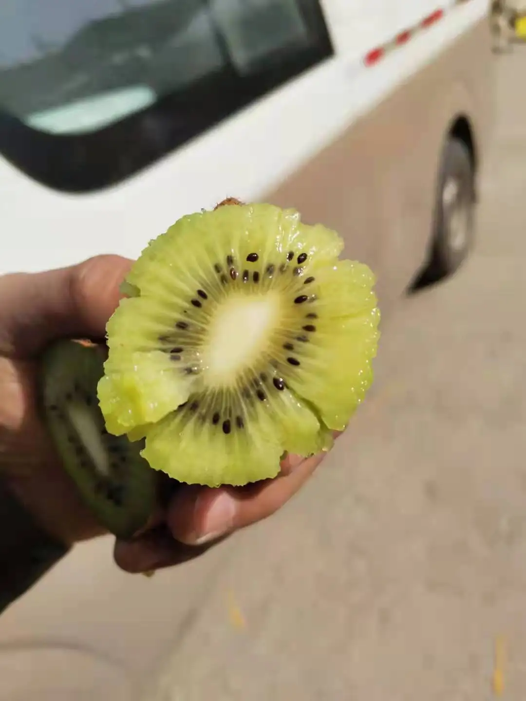 Best Price Fresh Kiwi for Export Food Grade Sweet and Sour Kiwi Fruit Natural Green and Yellow Kiwi Products