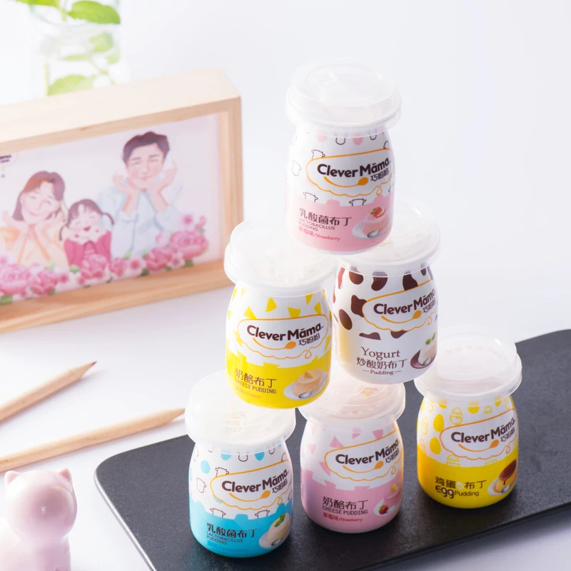 Hot Sale Jelly Pudding Chinese wholesale snack Food Leisure Snack with fruit flavor Cheese Jelly Pudding