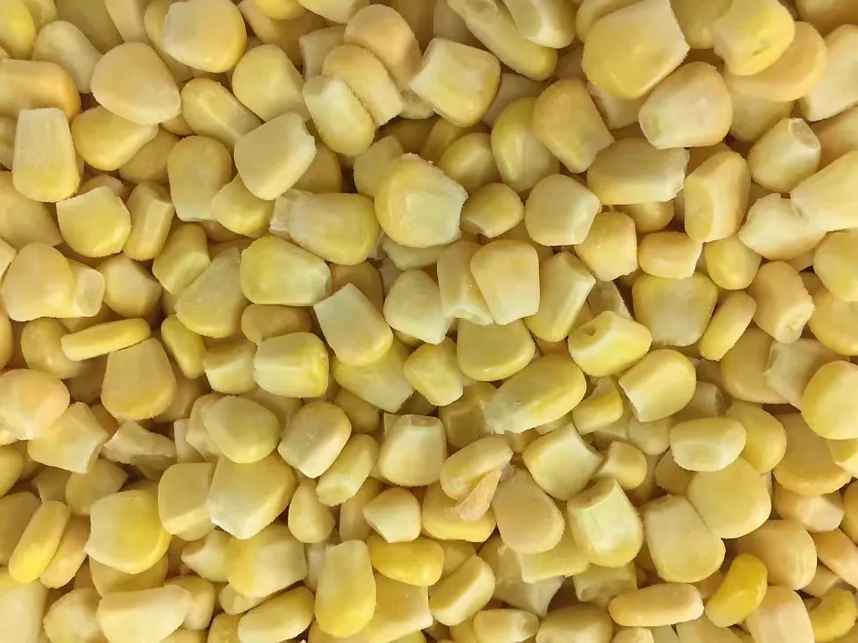 Wholesale  Dried Corn Grain  Dried Yellow Corn for Food   Frozen Corn Kernels