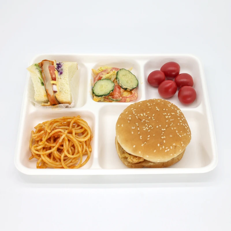 disposable compostable 5 compartment bagasse tray