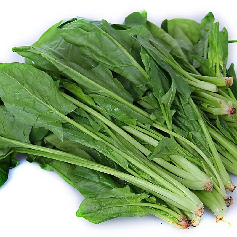 Health wholesale bulk Spinach Powder for tea