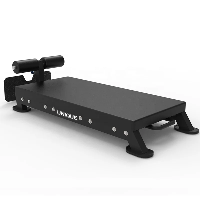 Multi-functional Back Abdominal Muscle Training Commercial Roman Chair Goat Straight Up Waist Back Bench