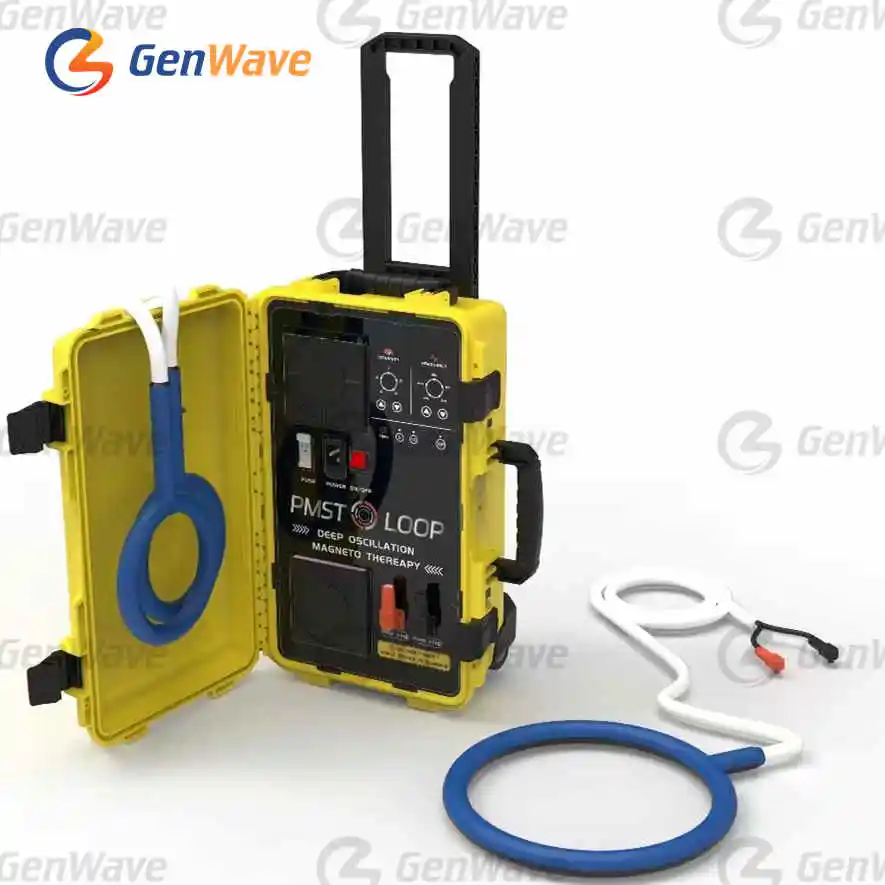 Pemf 6000 Gauss Double Loop pain relief Physio Pmst Magneto Physiotherapy Pulsed Magnetic Electromagnetic Field Therapy