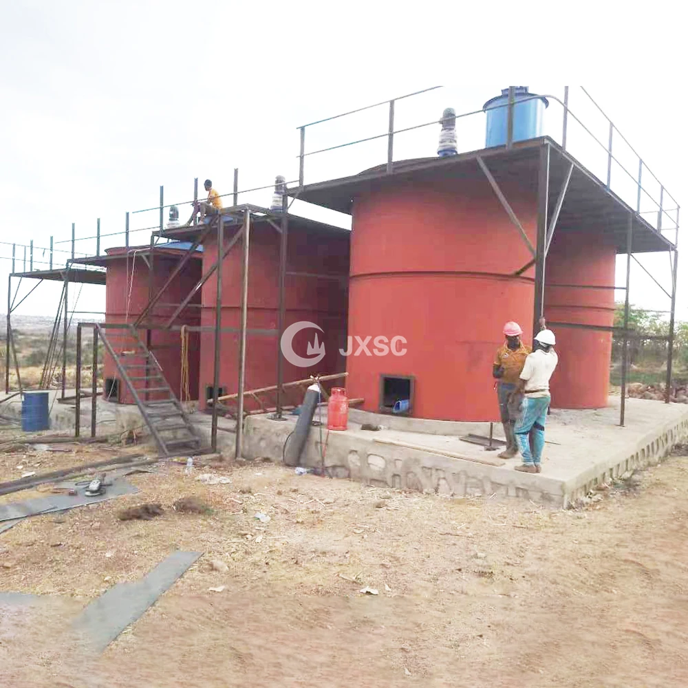 Gold Mining Equipment Activated Carbon Leaching 10 Tons Small Scale Gold Processing Separating Extraction Gold CIP Plant