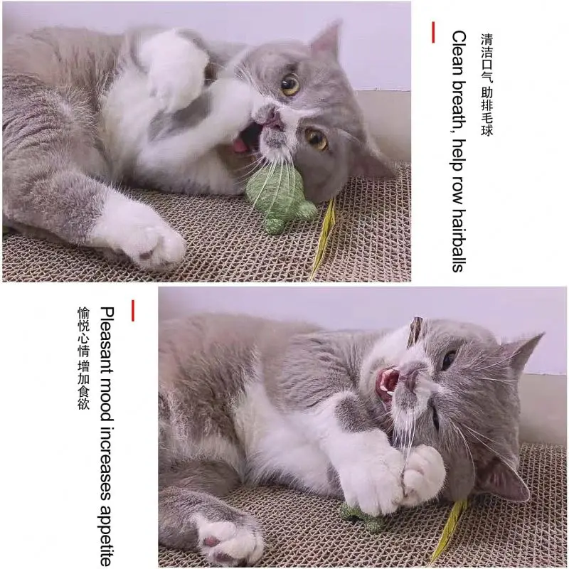 hot selling pet cat toy lollipop shape natural catnip cat interactive molar chew toy