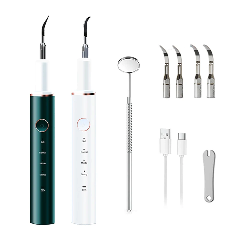 2024 New Product Customized Household Beauty Gadgets Clean Teeth Dental Ultrasonic Tooth Cleaner