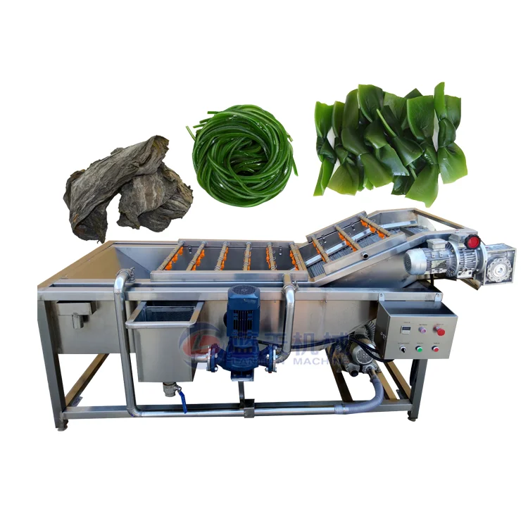 
304 stainless steel kelp and octopus cleaning and washing machine 
