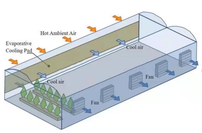 
50 Inch Industrial Workshop Exhaust Fan/Poultry Farm Air Cooling Fans 