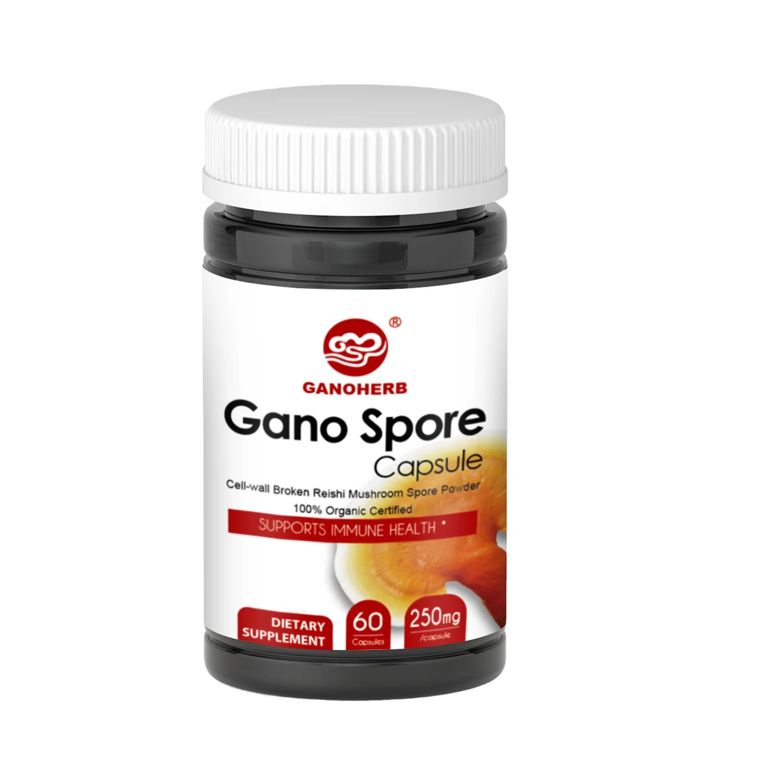 Organic Vegan Healthcare Supplement Reishi Mushroom Spore Powder Capsule