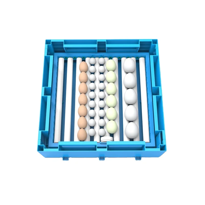 Dual power 12V 220V automatic 64 eggs chicken egg hatching machine blue incubator for sale in Kenya