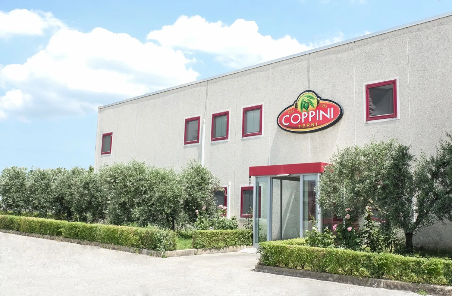 Premium Product Coppini Olive Oil - EU Extra Virgin Olive Oil - 10 ML sachets to Preserve the Freshness and Quality