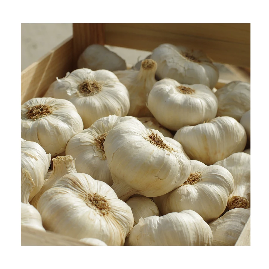 2021 New Crop Dried Minced Garlic AD Dried Flake Garlic