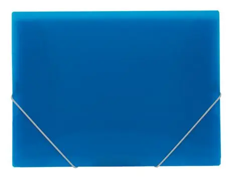 Plastic Expanding File Folder Document Organizer With Elastic Cord and Button Closure Expansion Expandable Wallet