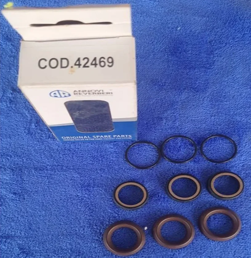 Комплект уплотнителей 42469 18 мм для RC RCA RCV насосов ANNOVI REVERBERI OEM AR42469