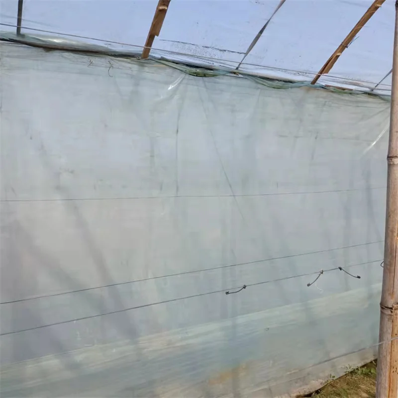 Nursery fruit tree fly net 20/30/40/50 mesh garden insect net Agricultural greenhouses insect plastic net