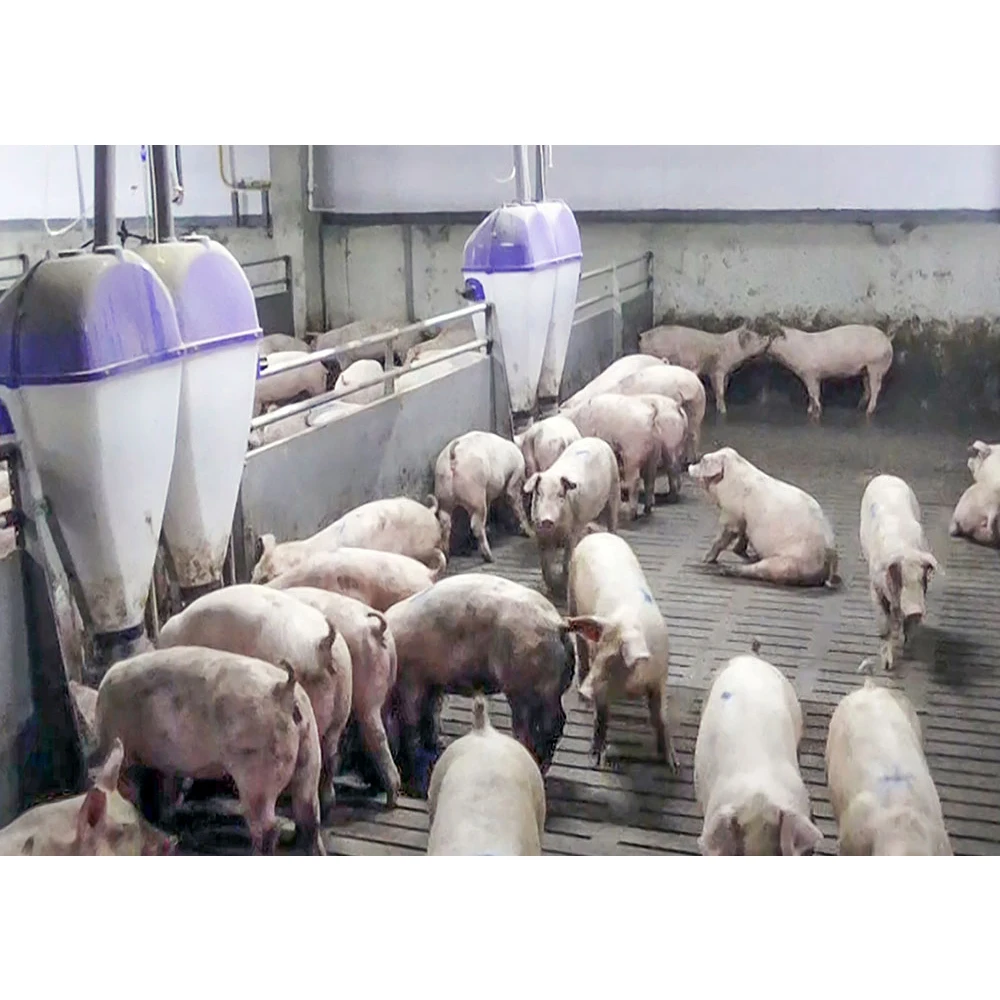 durable pig fattening crate pig fatten cage best sell pig farm equipment 2024 new product