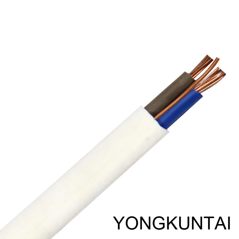 Customize BVVB 12/2 10/2 W/G TPS Flat Twin and Earth Cable Wire FTP 2.5mm Electrical Copper Wire