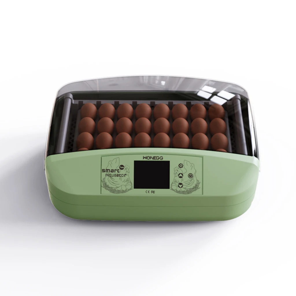 HHD automatic solar 32 eggs incubator heating brooder in zimbabwe price