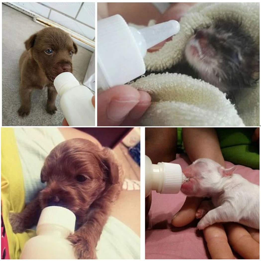 50ml Pet Nurser Nursing Feeding Bottle Puppy Milk Feeder With Replace Nipples And Brush Pet Medicine Feeder