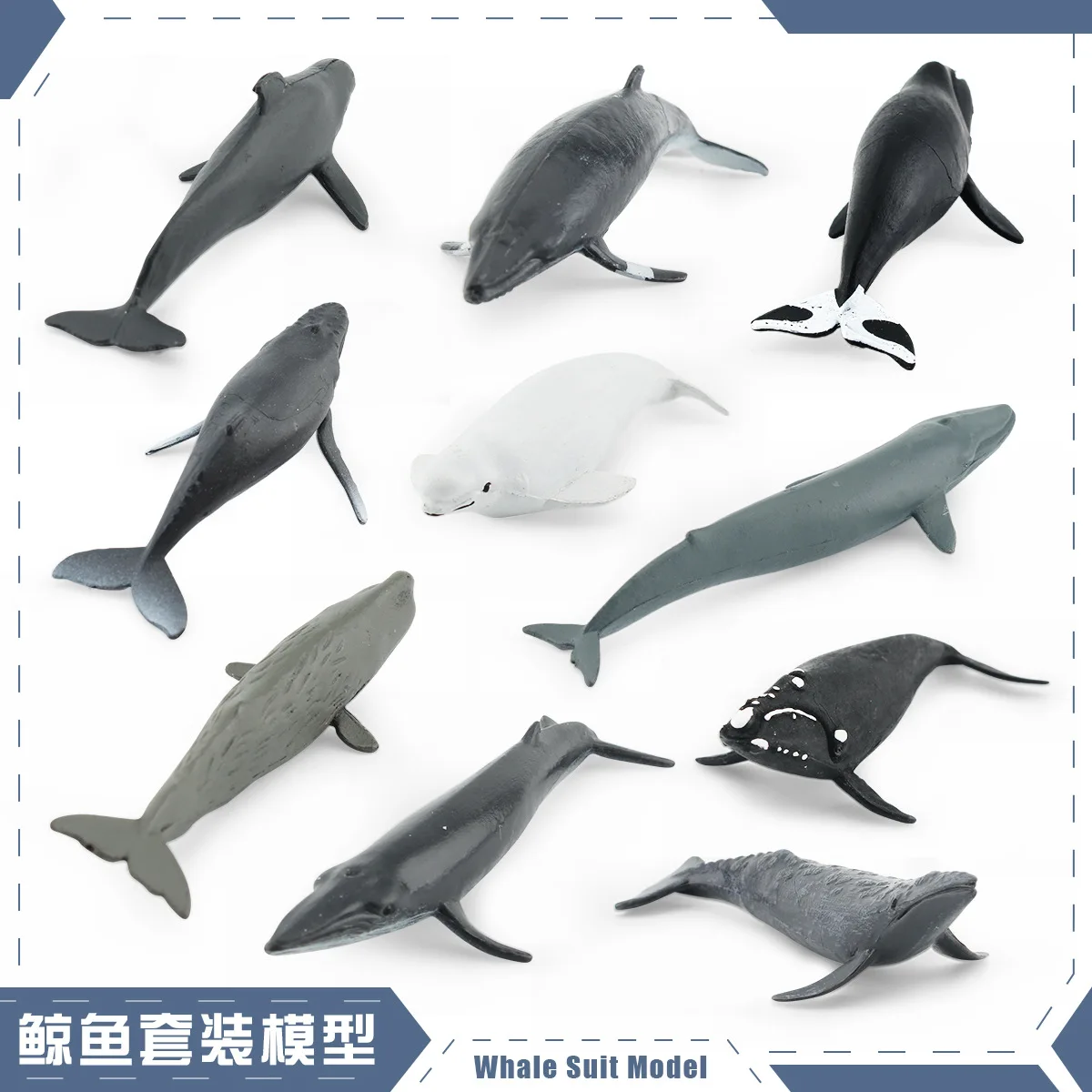 HY - simulation of Marine animal model right whale Beluga Humpback set decoration