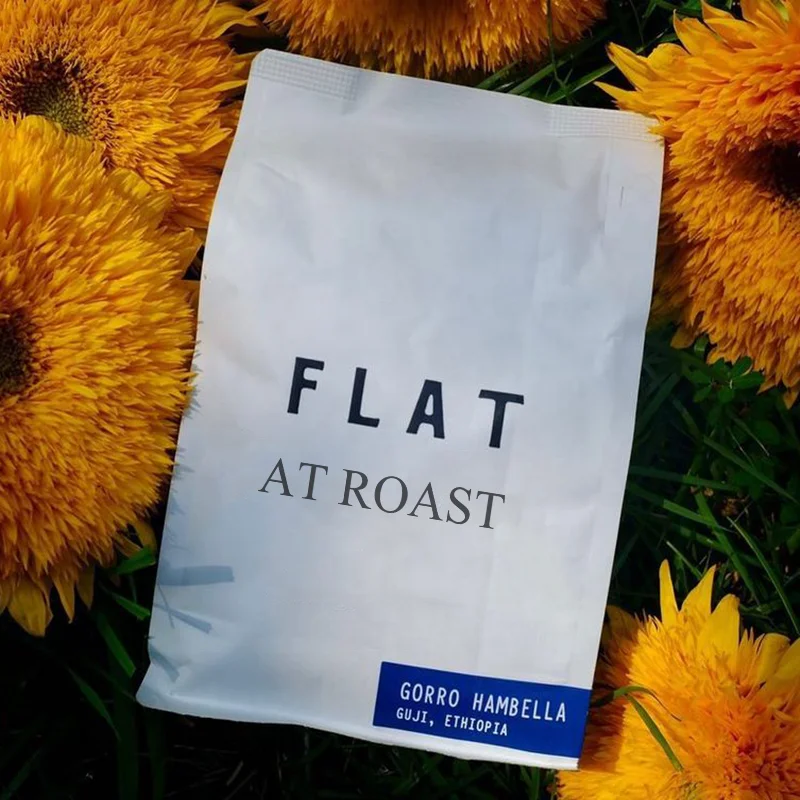 AT PACK Custom 250g 500g 1kg Eco-Friendly Coffee Bags With Valve And Zipper Coffee Shop Supplies Home Coffee Roaster Packaging