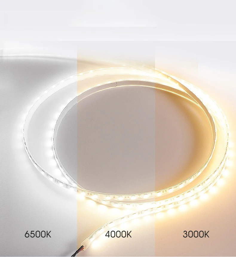 High Brightness Rope Lighting waterproof Flexible IP68 SMD 2835 Outdoor Led Strip Light