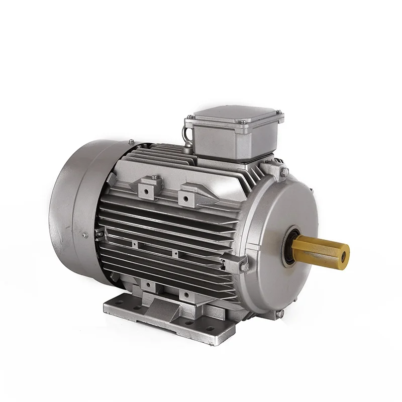 5hp 2hp 40 hp permanent magnet motor small 300 hp three phase electric motor