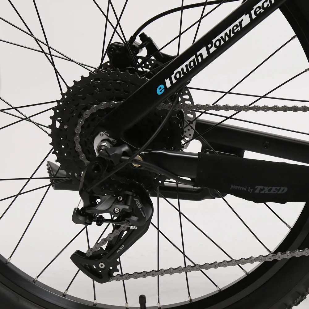 TXED Brushless 48V/750W rear BAFANG motor electric oem mtb bike high speed e bike with LTWOO A5 9 speeds mtb ebike