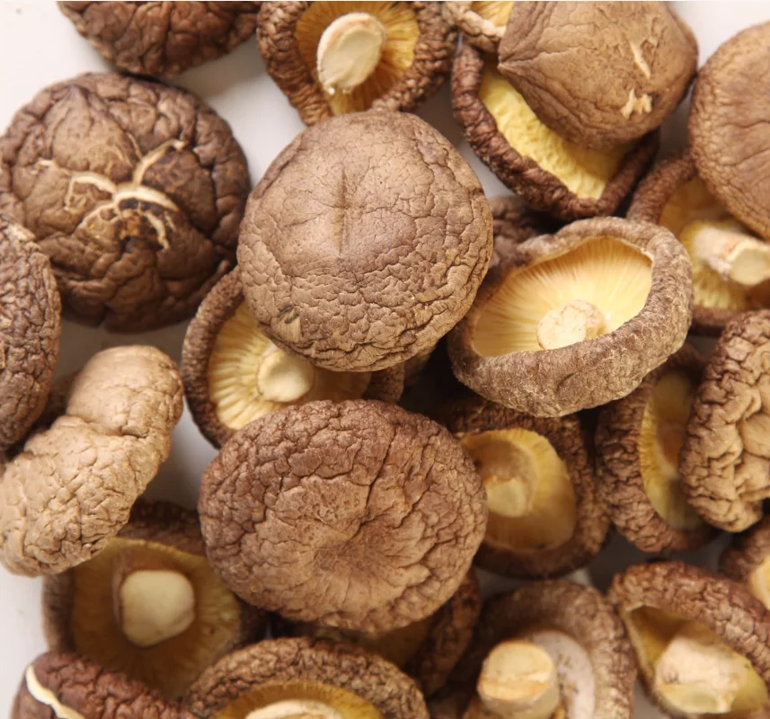 Wild Shiitake Mushroom Dried Fresh Whole with Stem and Cap Raw for Food Use Packaged in Bag