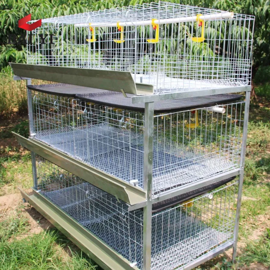 Chicken Farm Equipment Cage for Growing Broiler