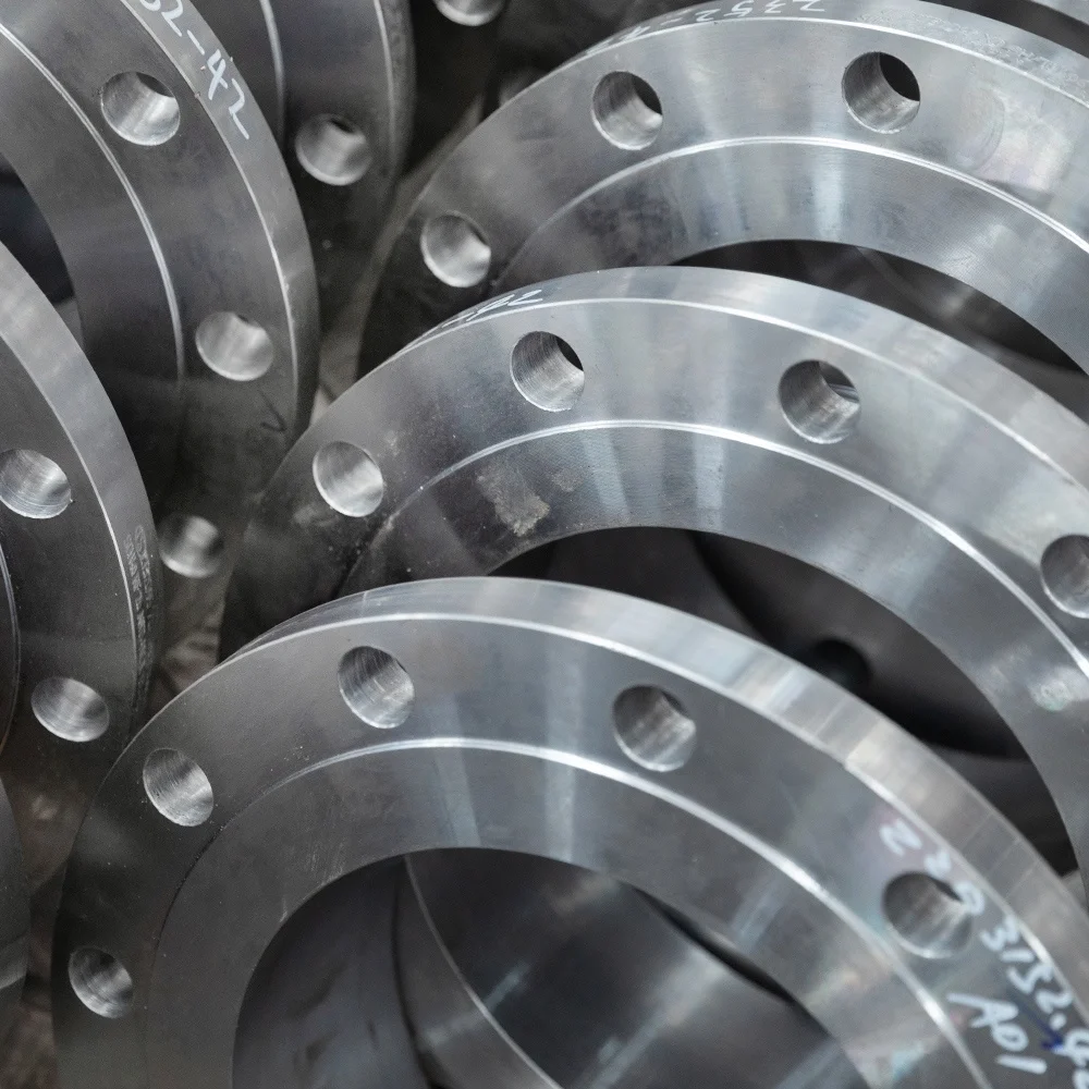 Hot Sale Products 10 Inch Stainless Steel Flange Stainless Steel Pipe Ting Flange