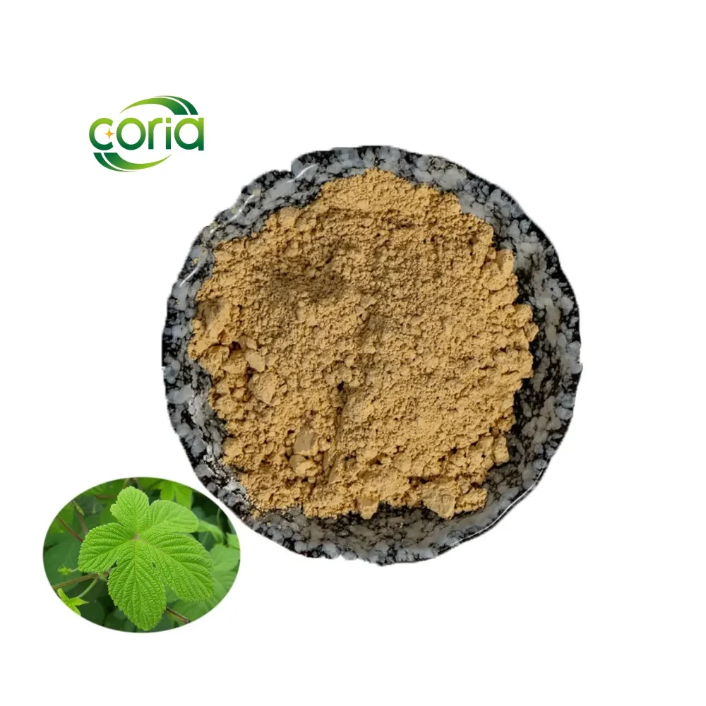 Здоровая добавка гипенозид 80% Jiaogulan Gynostemma Pentaphyllum экстракт/порошок Gypenoenoylum P.E