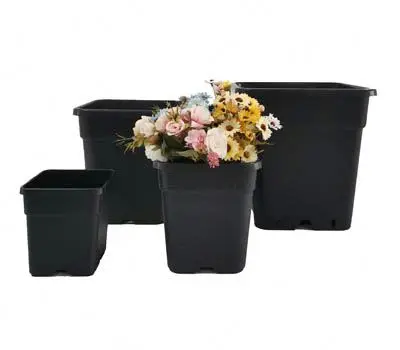 Black Thicken Plastic Rosa Chinensis Gallon Plant Pot Flowerpot With Drainage Hole And Tray