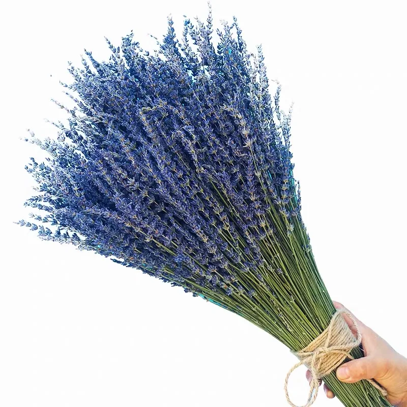 wholesale beautiful dried lavender for home decoration