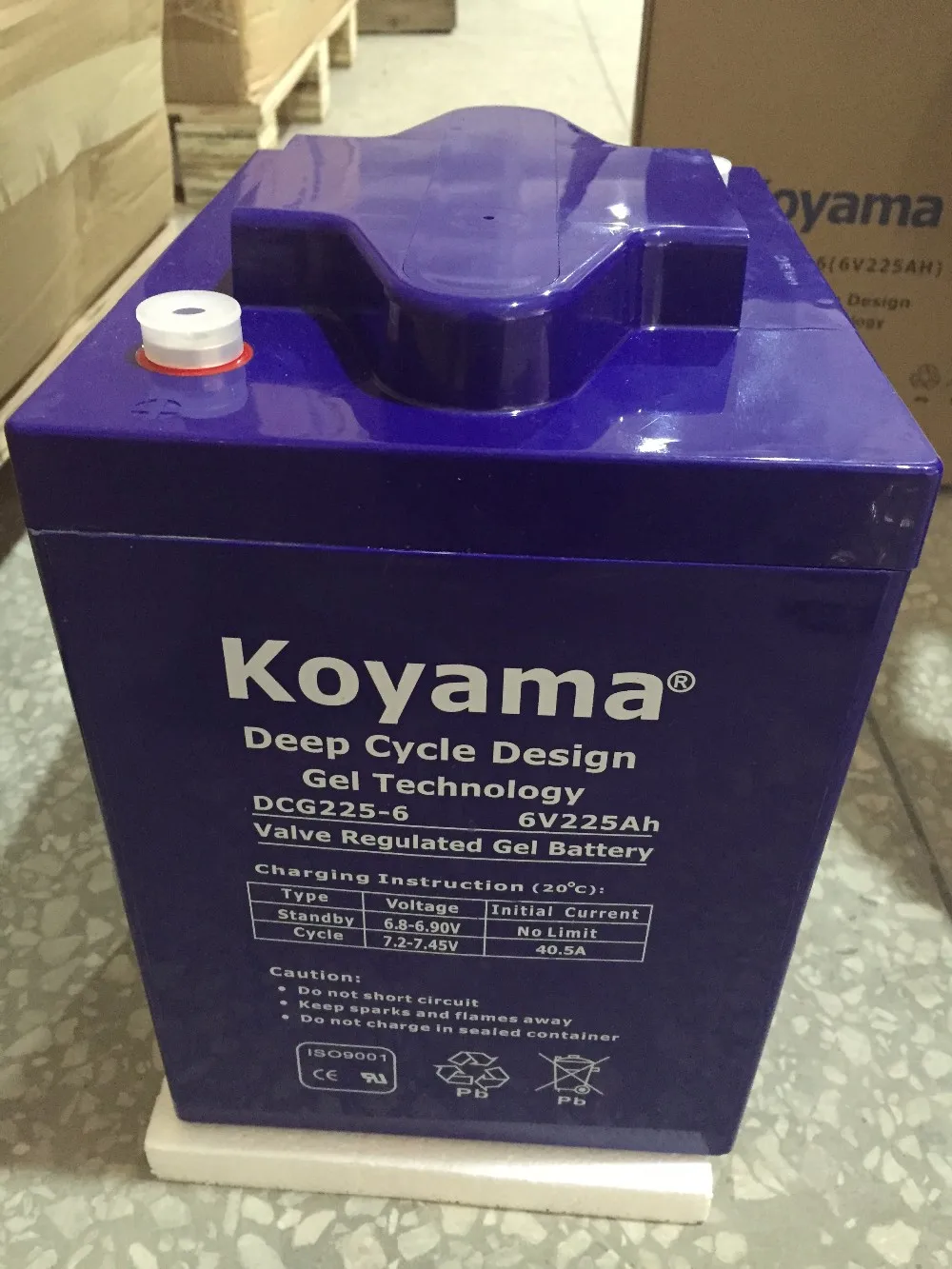 DC225-6 6V 225Ah Deep Cycle AGM Battery 12V Street Sweeper Power Sealed Free Maintenance for Energy Storage and Boats