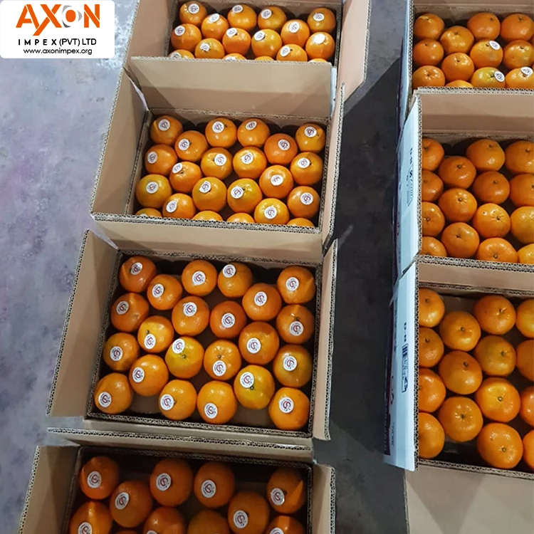 
100% Pure Natural Fresh Citrus Naval Oranges, Valencia Orange, Lemons, Mandarins and Lime 