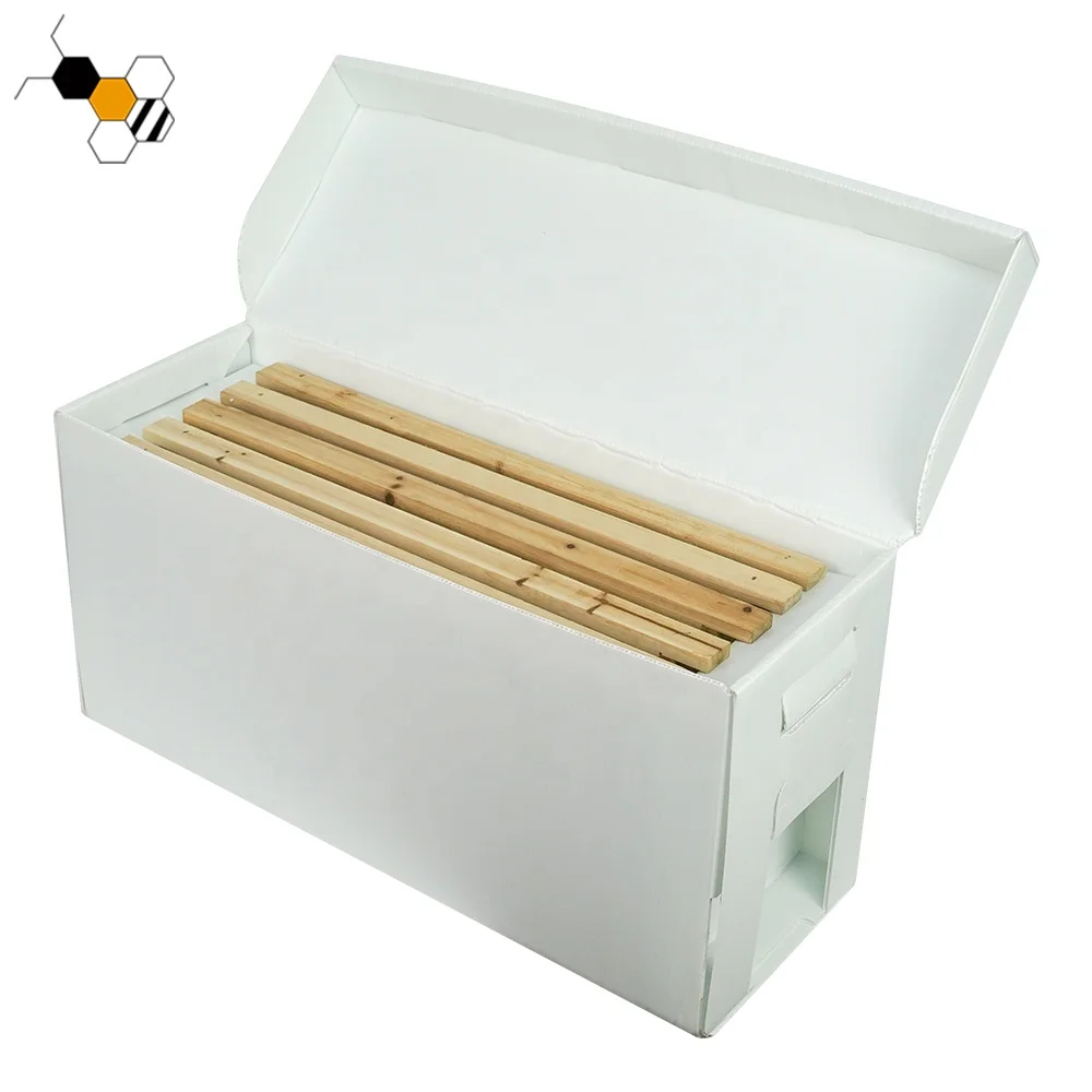 Customized PP 5 Frames Langstroth Cardboard Nuc Box Plastic Beekeeping Nucleus For Bees