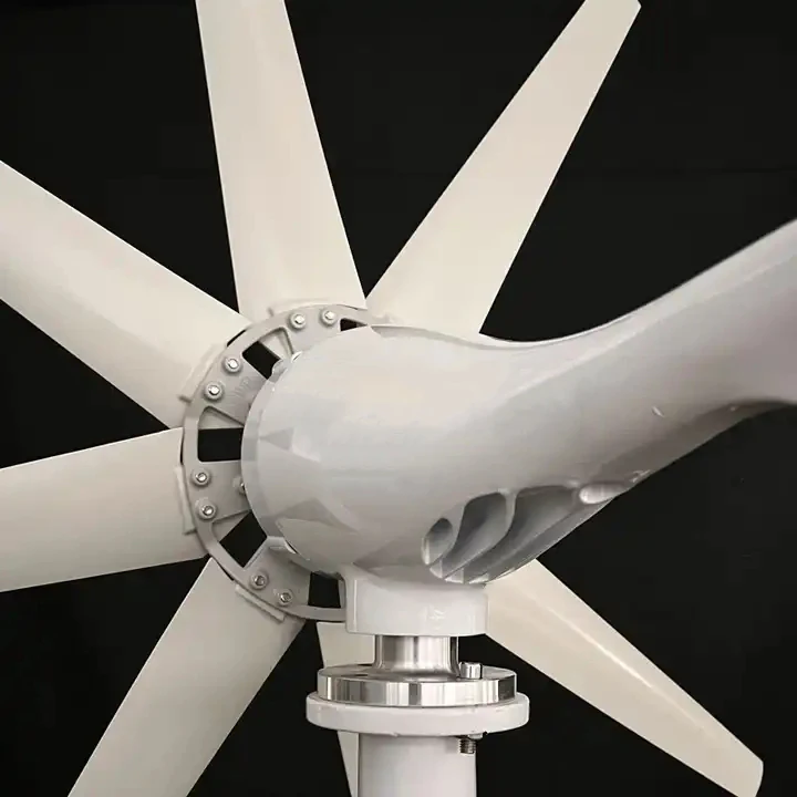 Small wind generator 100W 200W 300W 400W 500W 600W 800W 1000W Wind Turbine System