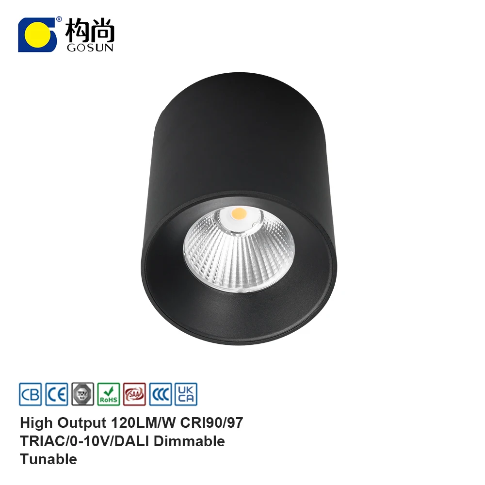 Anti Glare CE/RoHS Ip20 15/24/36/60 beam angle 15W lighting high lumen led surface mount down light