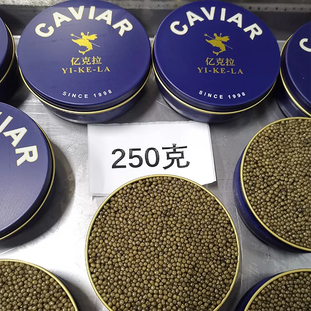 10kg sturgeon caviar