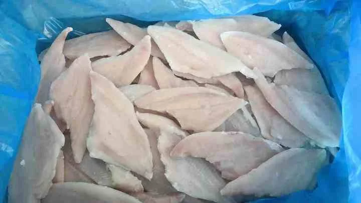 Frozen Brama Fillet With Skinless