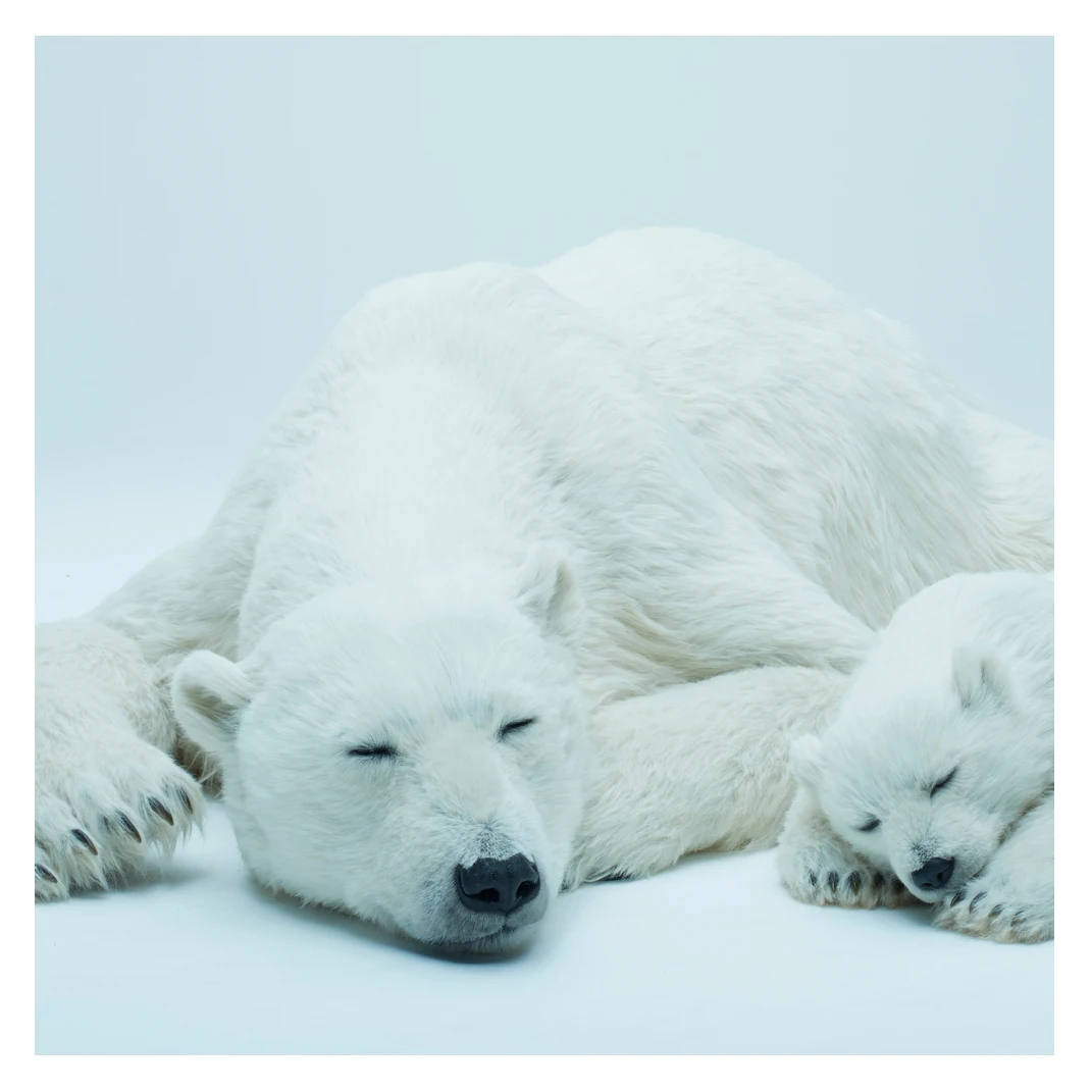 Custom 100% Artificial Polar Bear Giant Japanese Art Home Decor