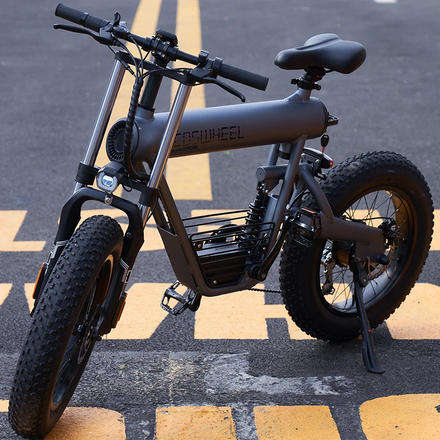 Elettriche Dual Motor Ebike 500w Electric Fat Bike Electric Road Bike Electric City Bike