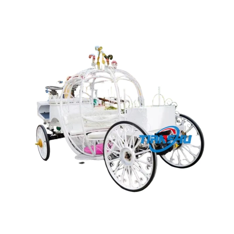 Newest small Cinderella carriage/ princess pumpkin cart/Luxurious pumpkin coach for tourism with CE