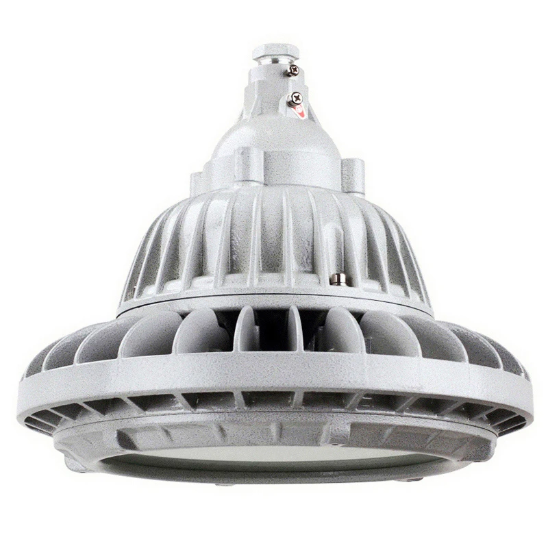 EX Lighting Ex Proof Electric Floodlight 120W Lamp IP66 WF2 Explosion-Proof Led Lighting