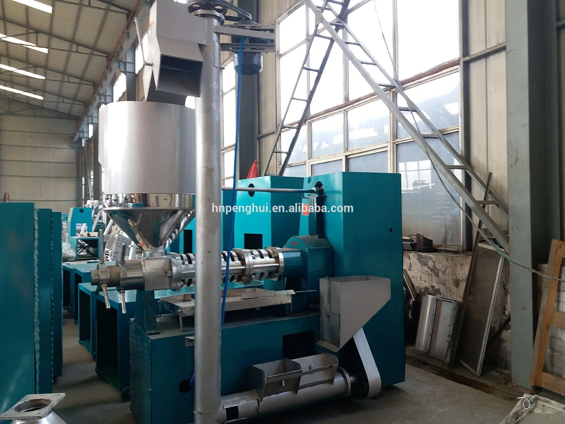 Automatic Sesame Almond Cashew Ginger Caster Plant Oil Extraction Press Machine