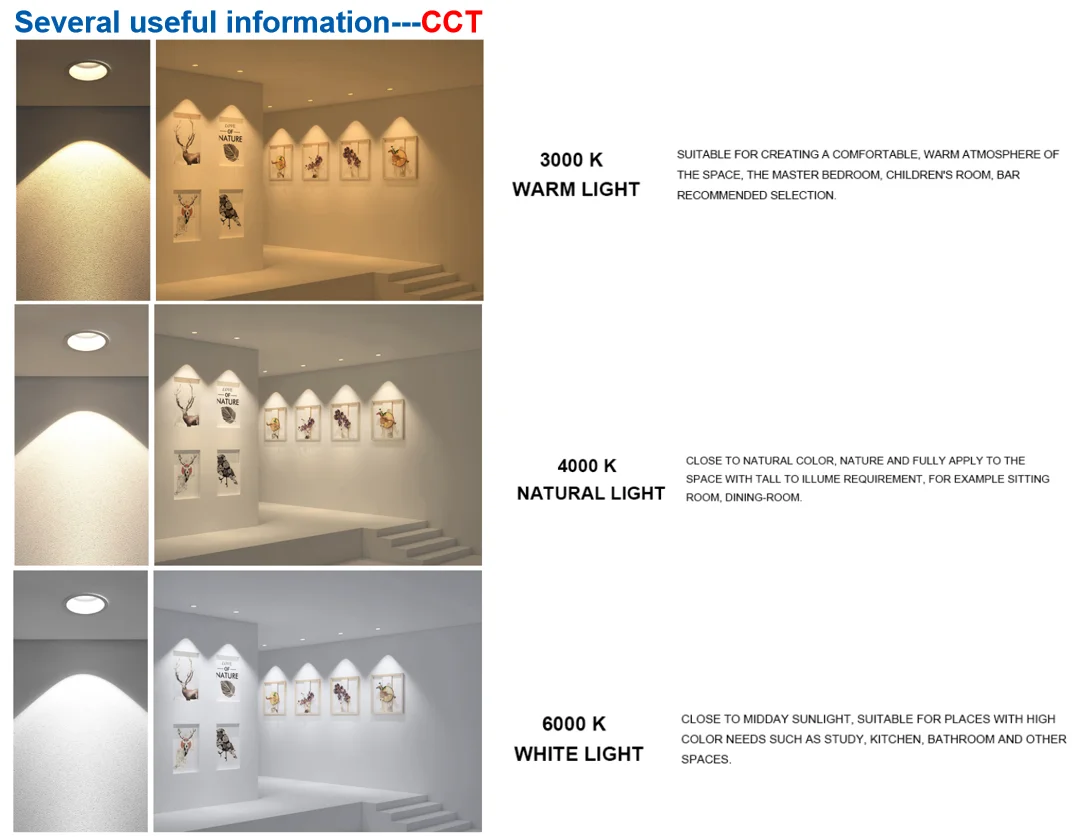 paste-pic-dp_uuid_cxrj0